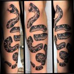 snake tattoo photo 28.01.2019 №042 - snake tattoo idea - tattoovalue.net