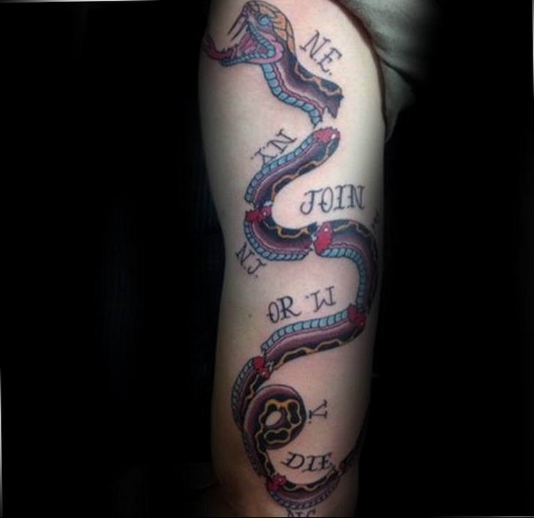 snake tattoo photo 28.01.2019 №046 - snake tattoo idea - tattoovalue.net