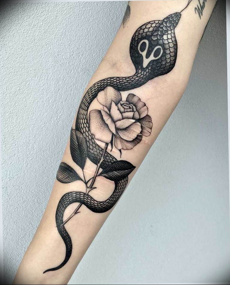 snake tattoo photo 28.01.2019 №052 - snake tattoo idea - tattoovalue.net