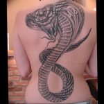 snake tattoo photo 28.01.2019 №054 - snake tattoo idea - tattoovalue.net