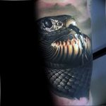 snake tattoo photo 28.01.2019 №060 - snake tattoo idea - tattoovalue.net