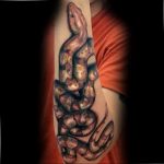 snake tattoo photo 28.01.2019 №061 - snake tattoo idea - tattoovalue.net