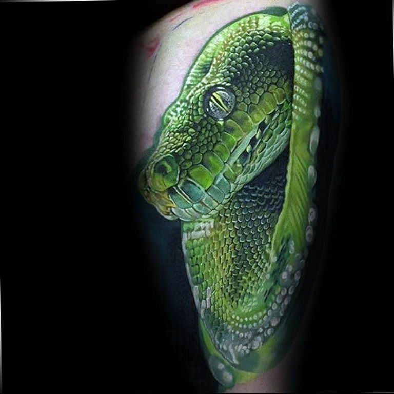 snake tattoo photo 28.01.2019 №062 - snake tattoo idea - tattoovalue.net