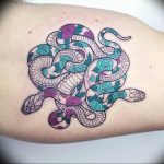 snake tattoo photo 28.01.2019 №067 - snake tattoo idea - tattoovalue.net