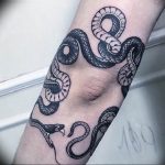 snake tattoo photo 28.01.2019 №069 - snake tattoo idea - tattoovalue.net