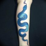 snake tattoo photo 28.01.2019 №076 - snake tattoo idea - tattoovalue.net