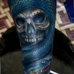 snake tattoo photo 28.01.2019 №086 - snake tattoo idea - tattoovalue.net