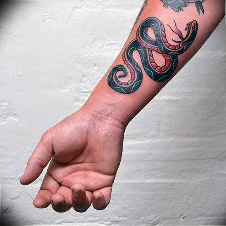 snake tattoo photo 28.01.2019 №092 - snake tattoo idea - tattoovalue.net