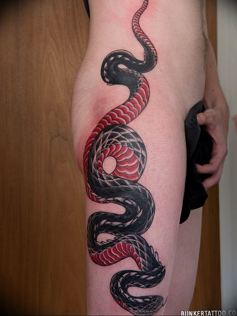 snake tattoo photo 28.01.2019 №095 - snake tattoo idea - tattoovalue.net