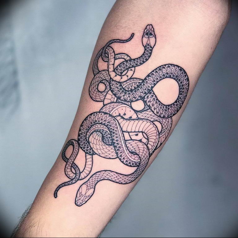 snake tattoo photo 28.01.2019 №096 - snake tattoo idea - tattoovalue.net