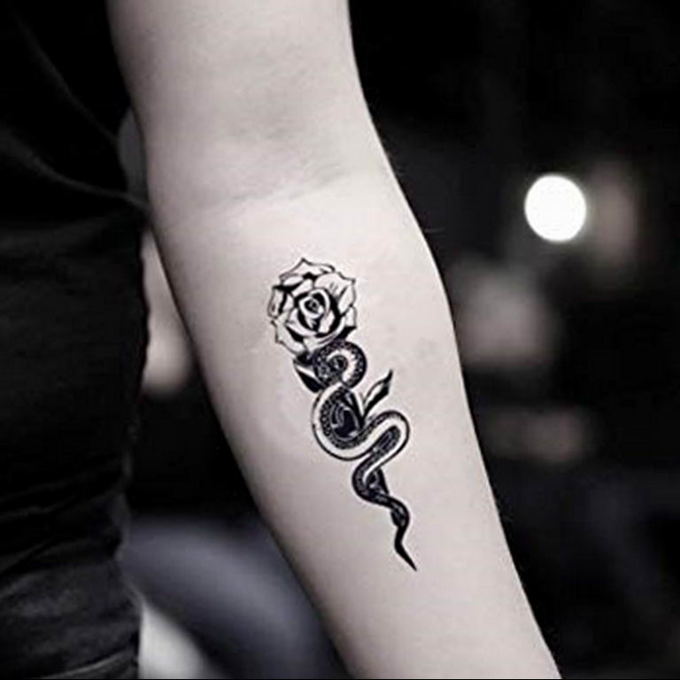 snake tattoo photo 28.01.2019 №097 - snake tattoo idea - tattoovalue.net