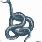 snake tattoo photo 28.01.2019 №112 - snake tattoo idea - tattoovalue.net