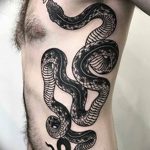 snake tattoo photo 28.01.2019 №118 - snake tattoo idea - tattoovalue.net