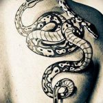 snake tattoo photo 28.01.2019 №123 - snake tattoo idea - tattoovalue.net