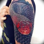 snake tattoo photo 28.01.2019 №126 - snake tattoo idea - tattoovalue.net