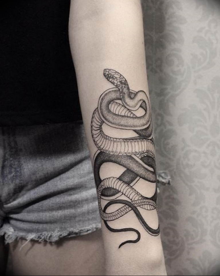 snake tattoo photo 28.01.2019 №142 - snake tattoo idea - tattoovalue.net