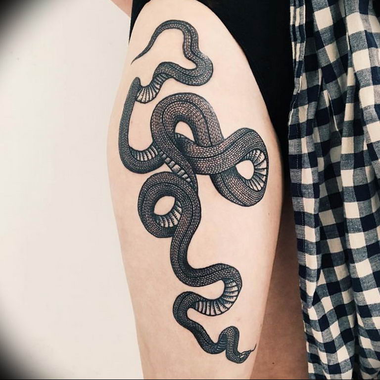 snake tattoo photo 28.01.2019 №143 - snake tattoo idea - tattoovalue.net