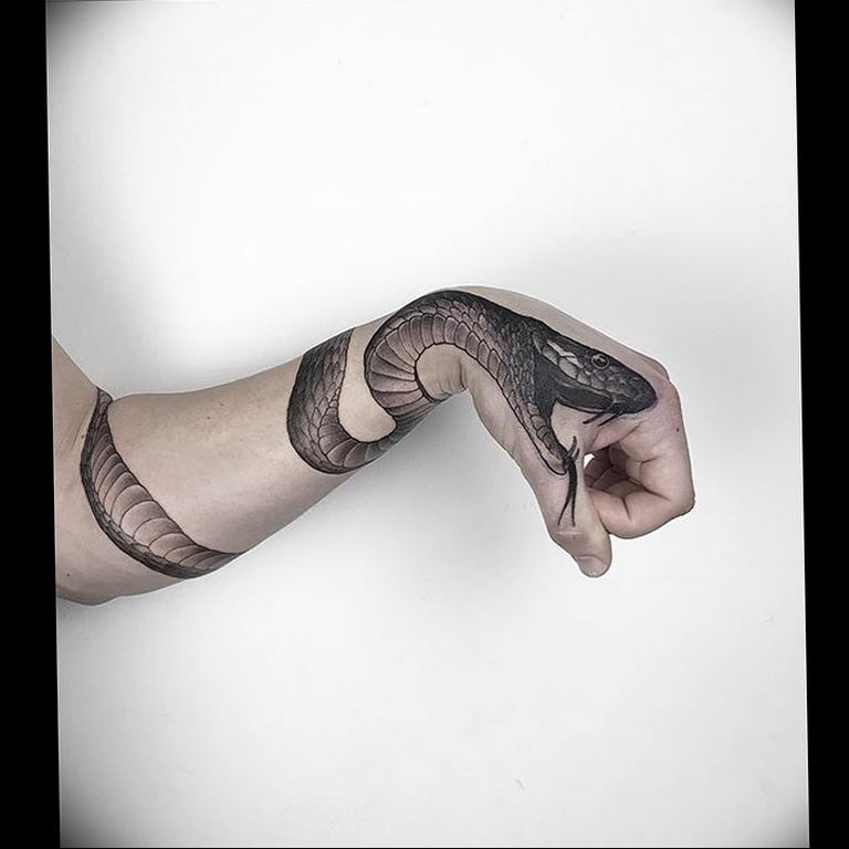 snake tattoo photo 28.01.2019 №144 - snake tattoo idea - tattoovalue.net