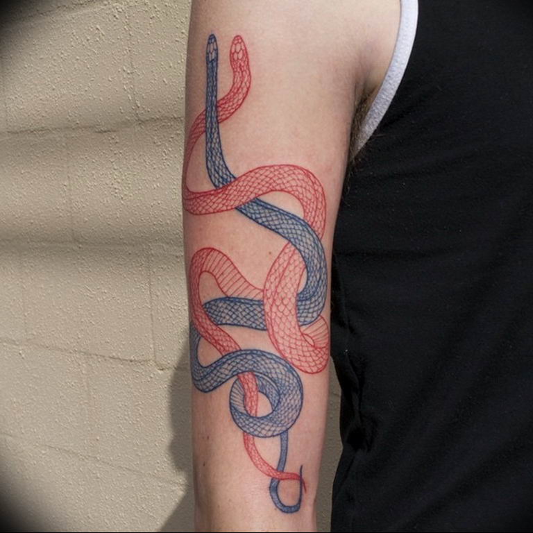 snake tattoo photo 28.01.2019 №145 - snake tattoo idea - tattoovalue.net