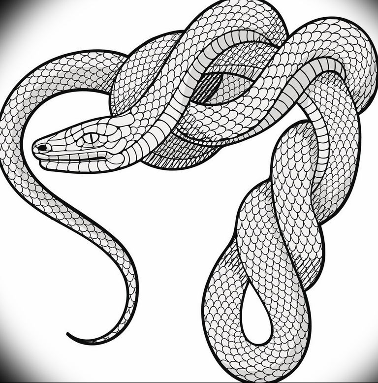 snake tattoo photo 28.01.2019 №146 - snake tattoo idea - tattoovalue.net