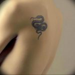 snake tattoo photo 28.01.2019 №147 - snake tattoo idea - tattoovalue.net