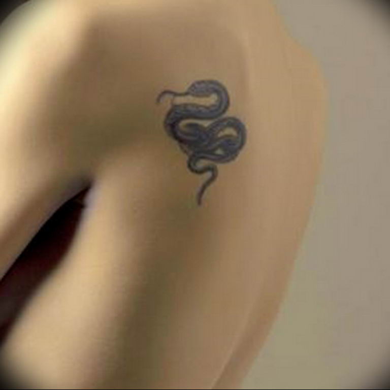 snake tattoo photo 28.01.2019 №147 - snake tattoo idea - tattoovalue.net
