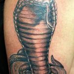 snake tattoo photo 28.01.2019 №149 - snake tattoo idea - tattoovalue.net