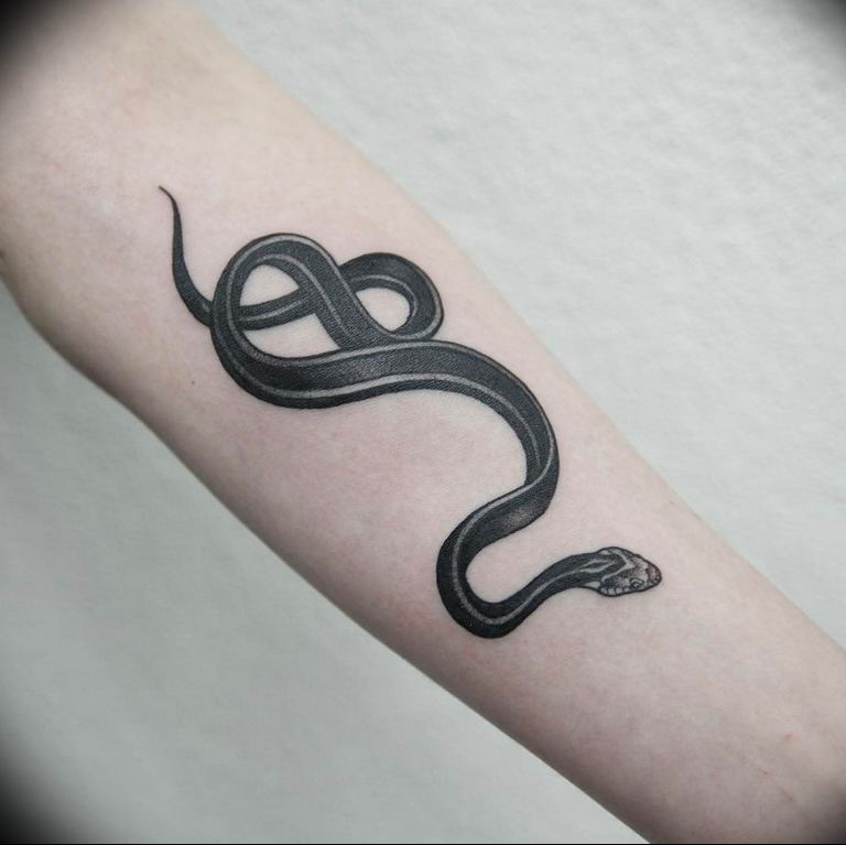 snake tattoo photo 28.01.2019 №150 - snake tattoo idea - tattoovalue.net