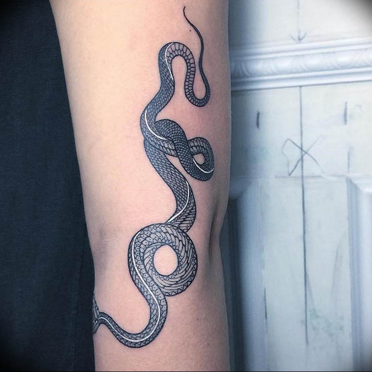 snake tattoo photo 28.01.2019 №152 - snake tattoo idea - tattoovalue.net