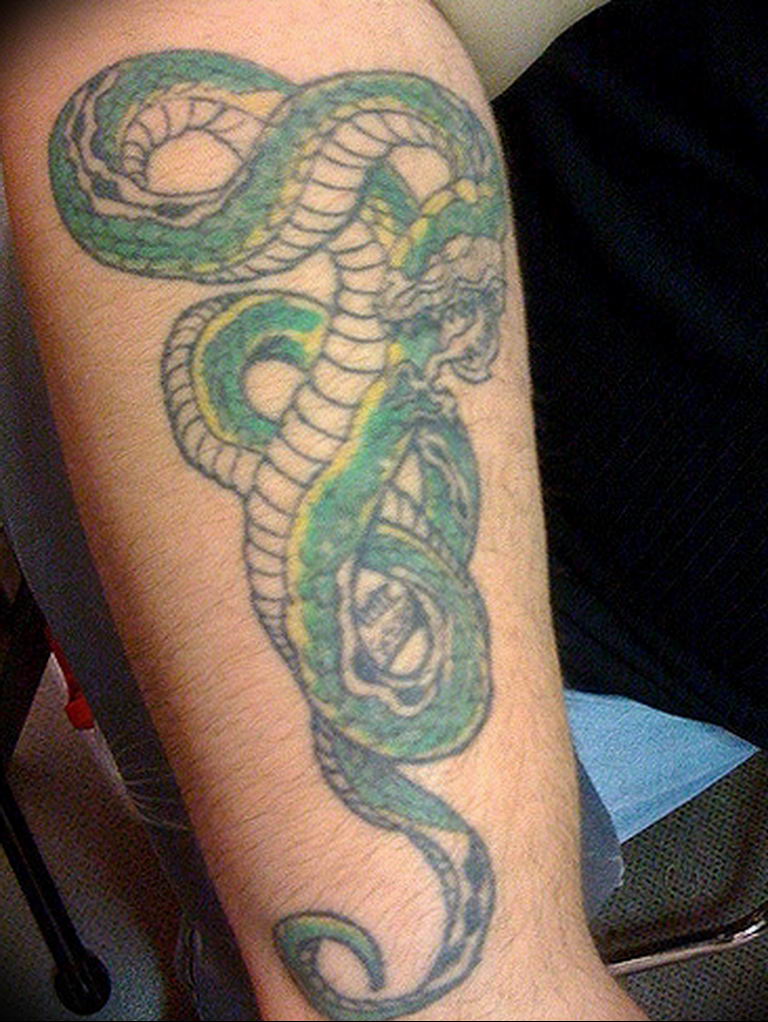 snake tattoo photo 28.01.2019 №153 - snake tattoo idea - tattoovalue.net