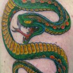 snake tattoo photo 28.01.2019 №163 - snake tattoo idea - tattoovalue.net