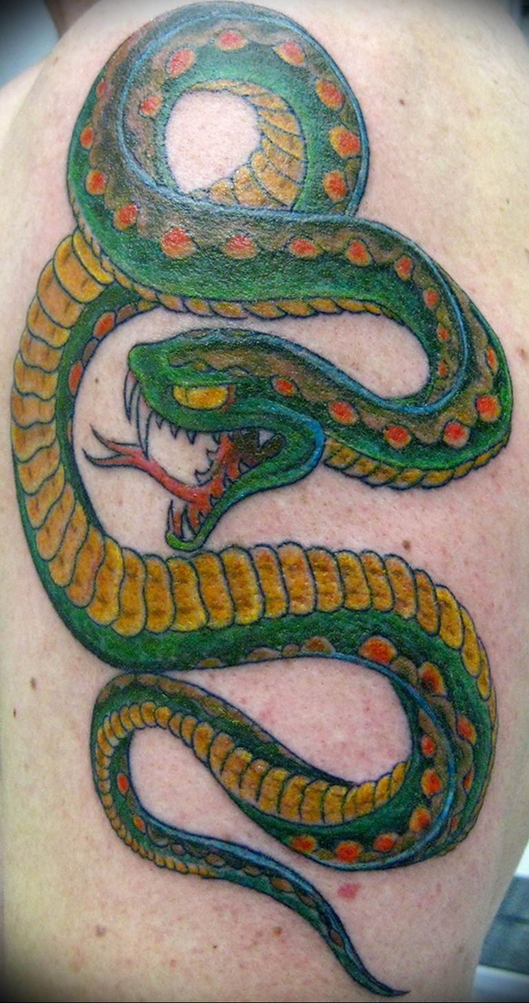 snake tattoo photo 28.01.2019 №163 - snake tattoo idea - tattoovalue.net