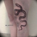 snake tattoo photo 28.01.2019 №164 - snake tattoo idea - tattoovalue.net