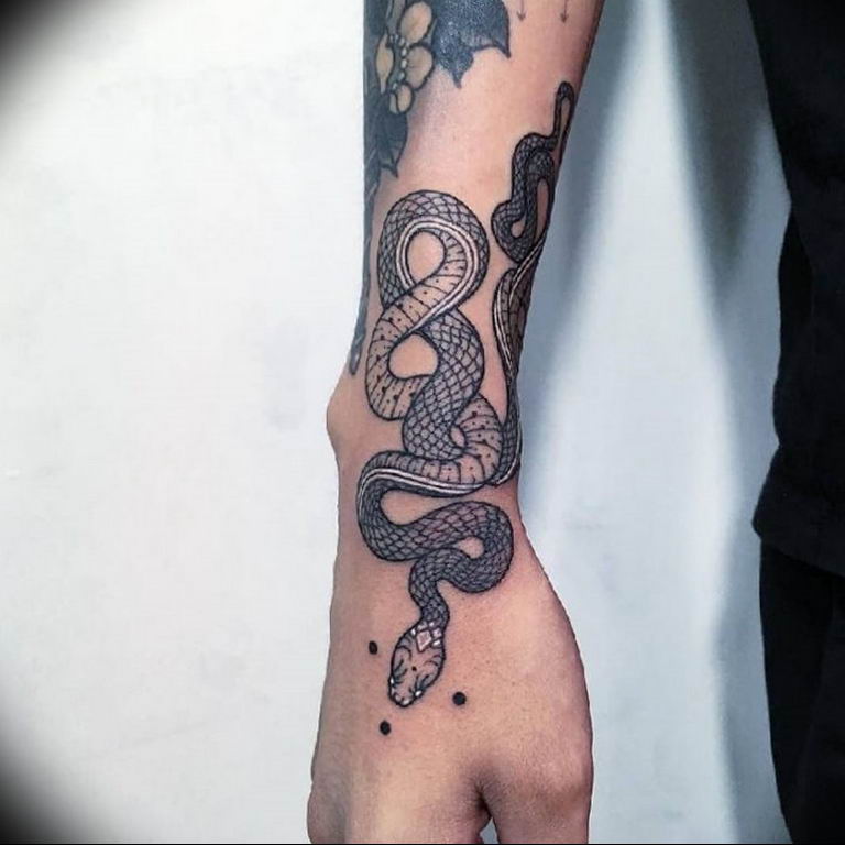 snake tattoo photo 28.01.2019 №168 - snake tattoo idea - tattoovalue.net
