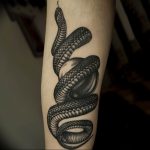 snake tattoo photo 28.01.2019 №171 - snake tattoo idea - tattoovalue.net