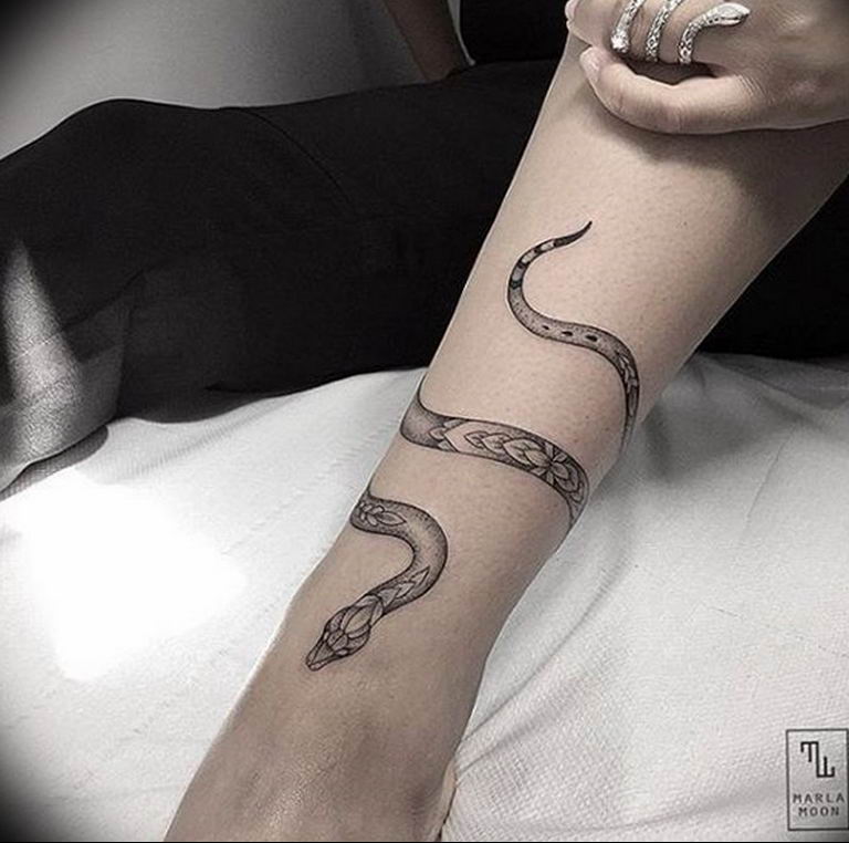 snake tattoo photo 28.01.2019 №175 - snake tattoo idea - tattoovalue.net