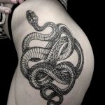 snake tattoo photo 28.01.2019 №177 - snake tattoo idea - tattoovalue.net