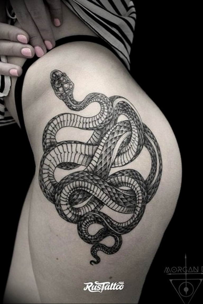 snake tattoo photo 28.01.2019 №177 - snake tattoo idea - tattoovalue.net