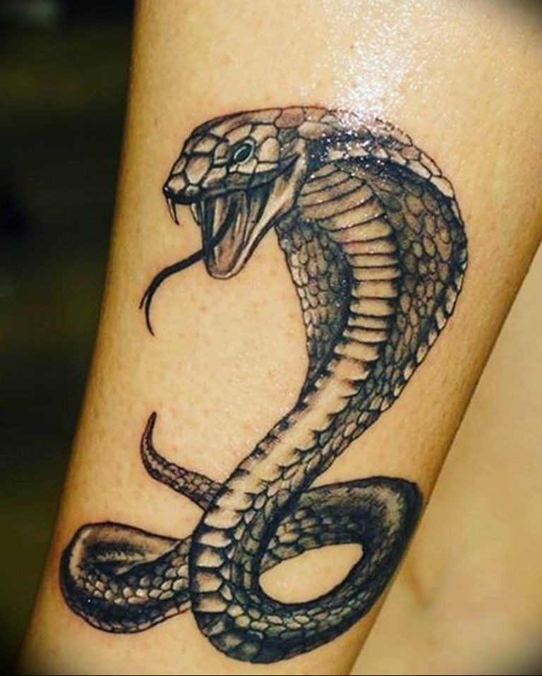 snake tattoo photo 28.01.2019 №178 - snake tattoo idea - tattoovalue.net