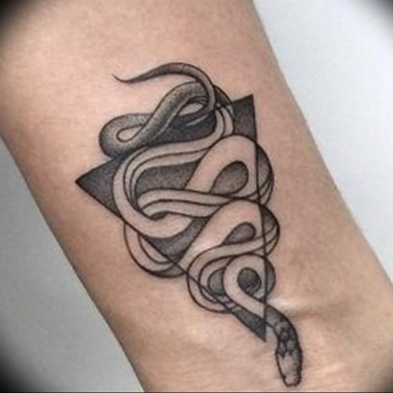 snake tattoo photo 28.01.2019 №180 - snake tattoo idea - tattoovalue.net