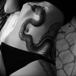 snake tattoo photo 28.01.2019 №183 - snake tattoo idea - tattoovalue.net