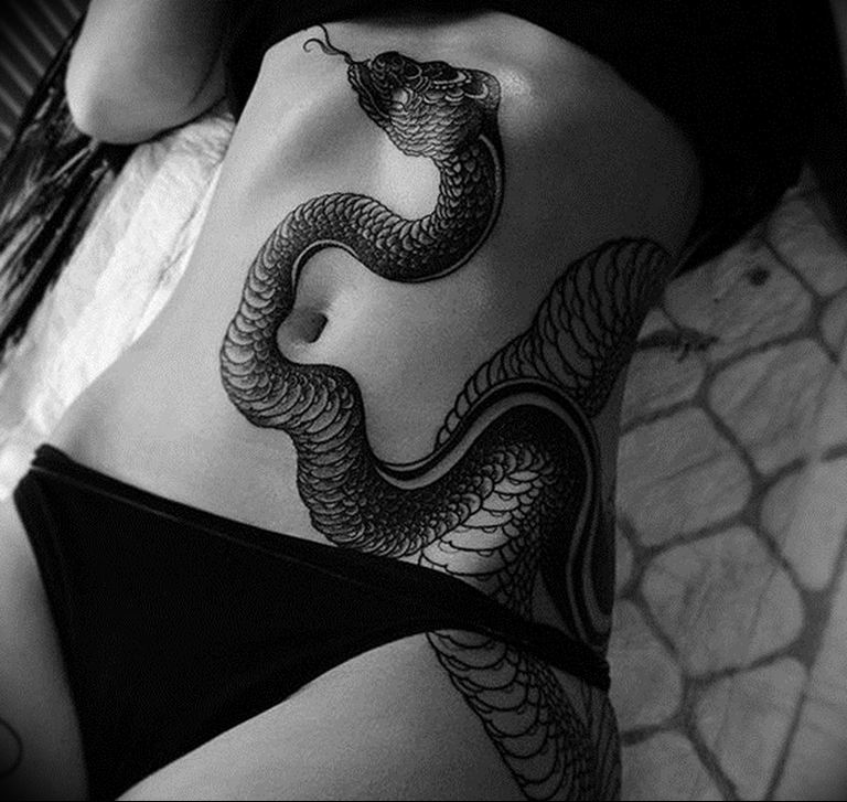 snake tattoo photo 28.01.2019 №183 - snake tattoo idea - tattoovalue.net