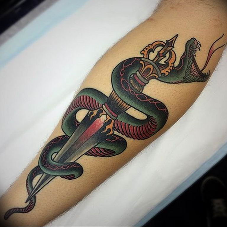 snake tattoo photo 28.01.2019 №184 - snake tattoo idea - tattoovalue.net