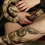 snake tattoo photo 28.01.2019 №187 - snake tattoo idea - tattoovalue.net