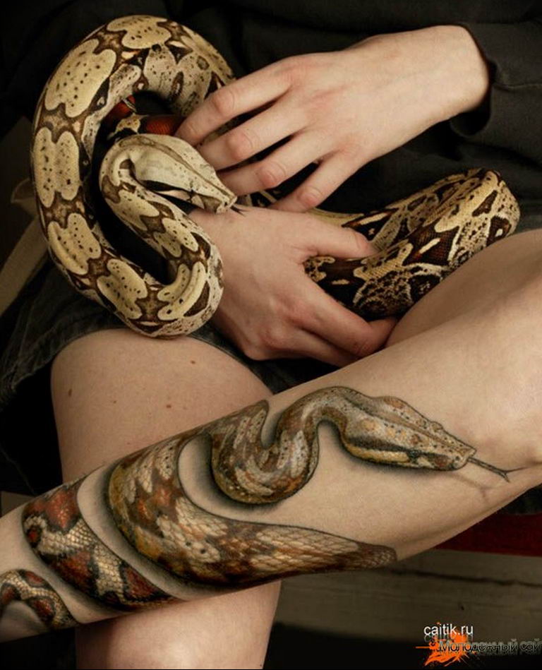 snake tattoo photo 28.01.2019 №187 - snake tattoo idea - tattoovalue.net
