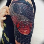 snake tattoo photo 28.01.2019 №189 - snake tattoo idea - tattoovalue.net