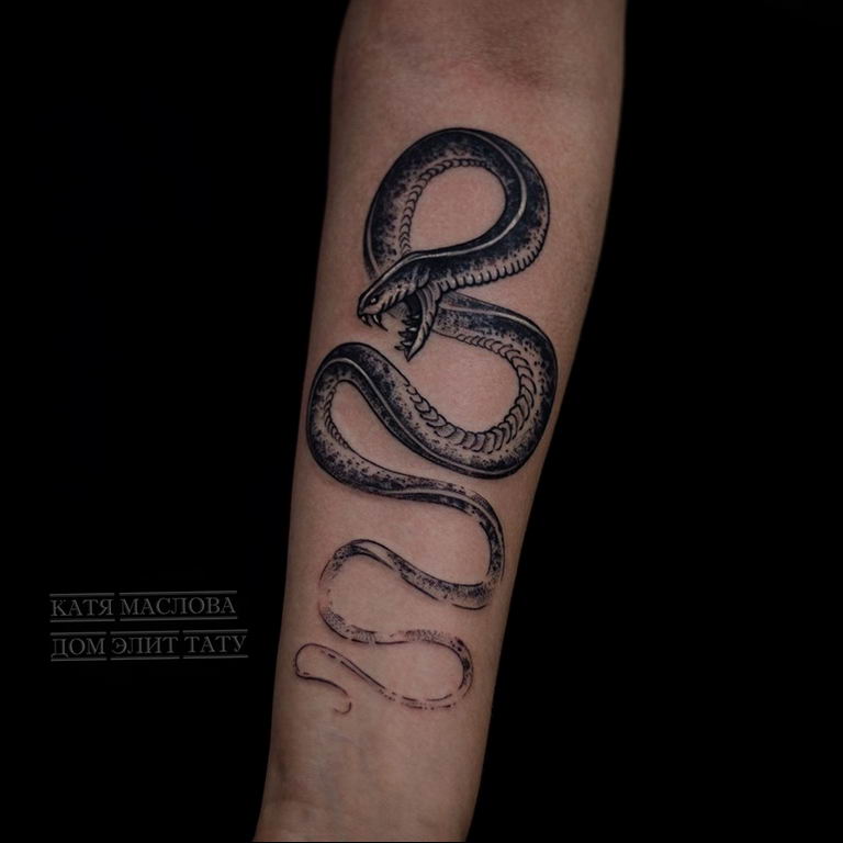 snake tattoo photo 28.01.2019 №191 - snake tattoo idea - tattoovalue.net