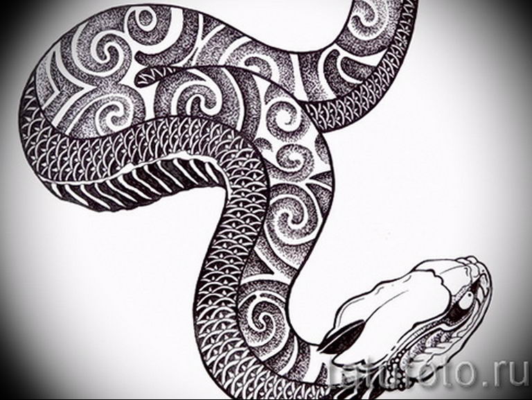 snake tattoo photo 28.01.2019 №195 - snake tattoo idea - tattoovalue.net