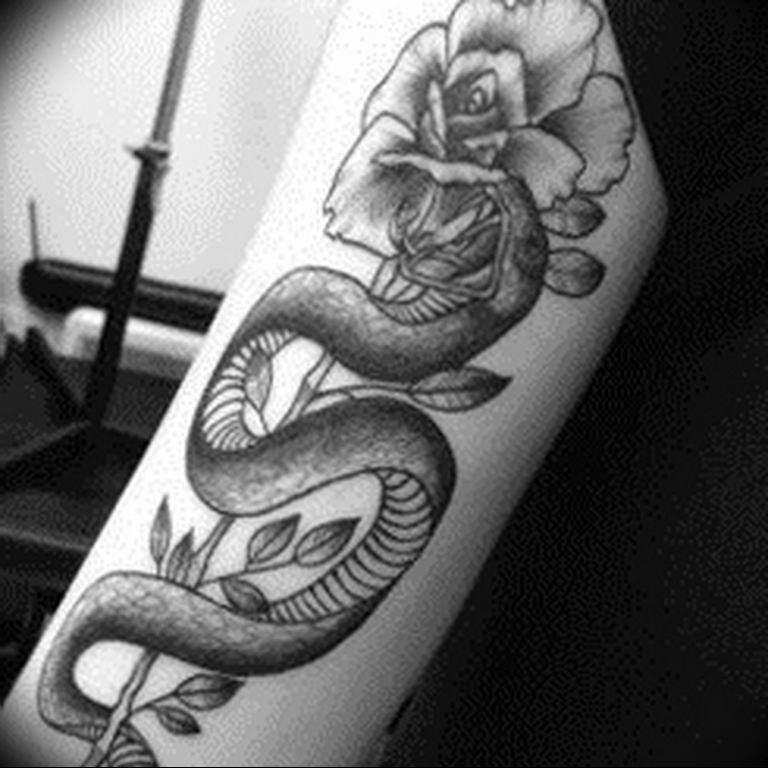 snake tattoo photo 28.01.2019 №196 - snake tattoo idea - tattoovalue.net