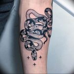 snake tattoo photo 28.01.2019 №200 - snake tattoo idea - tattoovalue.net